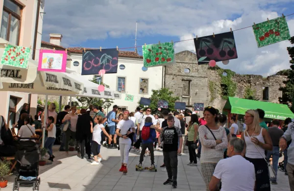 Festival češenj je letos odpadel, ljubitelji zelena pa bodo na svoj 
račun prišli  v avgustu. 