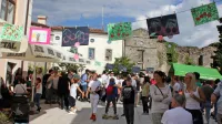 Festival češenj je letos odpadel, ljubitelji zelena pa bodo na svoj 
račun prišli  v avgustu. 