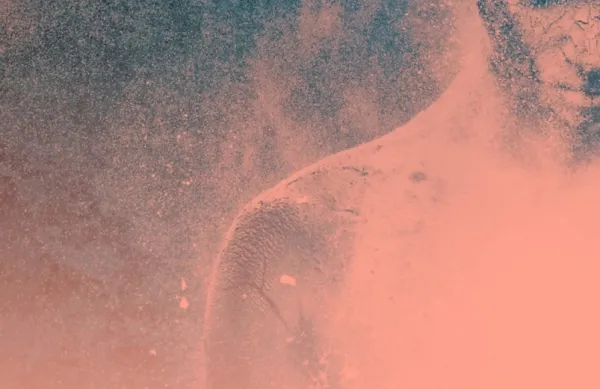 Gabor Mate:   Ko telo reče ne $@   
prevedla Jedrt Lapuh Maležič, 
Primus, 361 strani, 
cena: 27 evrov