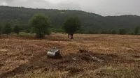 Massimo Rojac je s svojo ekipo delavcev očistil zaraščeno 
občinsko parcelo pred Pučami, na kateri bo prihodnjo pomlad 
zasadil oljčnik s približno 4000 oljkami. 