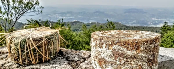 Siri Golden Ring si že utirajo pot med vrhunske slovenske 
gostince.
