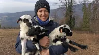 Družina Bric ima doma dva tropa ovac po 60 glav, ki so zaradi 
milega podnebja vse leto na paši.