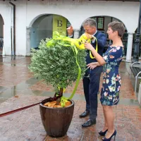 Grad spet utripa z oštirjem in rebulami