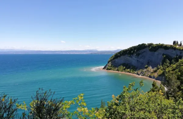 

Od kamnitega strunjanskega križa se  ponuja lep razgled na Mesečev zaliv. Strunjanski klif meri do 
80 metrov  in je največji flišni klif na vzhodnem Jadranu. 