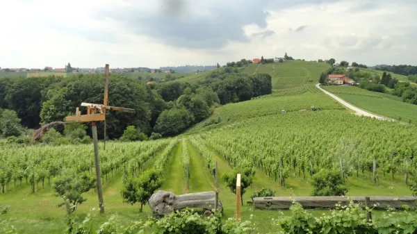 Pogled s turistične kmetije Pukalvec v Zasavici na vinograde s kloptcem in na delček Jeruzalema v ozadju