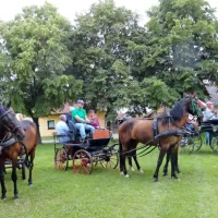 Vožnja kočij s konjsko vprego čez drn in strm po prleškem polju je 
dobra turistična ponudba. Organizira jo konjeniško društvo iz 
Središča ob Dravi.