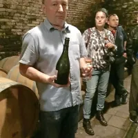 Franci Cvetko, lastnik posestva Kogl, je  skrbno obnovil  zanemarjeno graščino in 
vinograde. Njegova vina, zlasti penine, zorijo v starodavni grajski kleti.