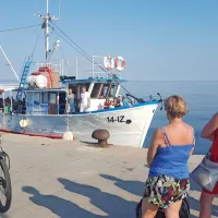 Izjemno zanimanje za brezplačne ladijske prevoze z Zlatoperko