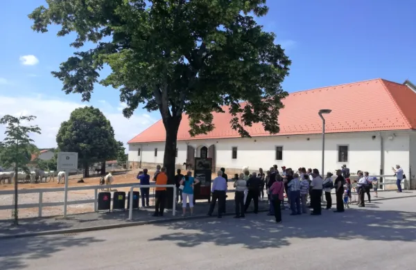 Po skoraj štirih mesecih  mrtvila  je Kobilarna Lipica sredi junija 
zaradi novih ponudb ponovno oživela.  