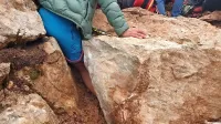 Večja skala je nemško planinko v četrtek na Mangartu ukleščila ob 
steno. 