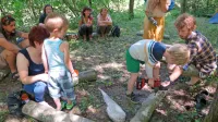 Na delavnici gojenja gob - bukovih ostrigarjev - so se  izkazali  tudi otroci.