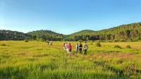 Turisti  se lahko pridružijo vodenim pohodom in ogledom, spoznavajo Pivška presihajoča jezera in druge skrite znamenitosti. 