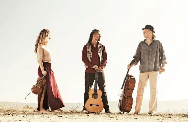  V trio Wild Strings   so se leta 2014 povezali slovaška jazz violinistka Petra Onderufová,  slovenski etno 
kitarist Aleksander Kuzmić in francoski klasični čelist Toby Kuhn.  