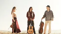  V trio Wild Strings   so se leta 2014 povezali slovaška jazz violinistka Petra Onderufová,  slovenski etno 
kitarist Aleksander Kuzmić in francoski klasični čelist Toby Kuhn.  