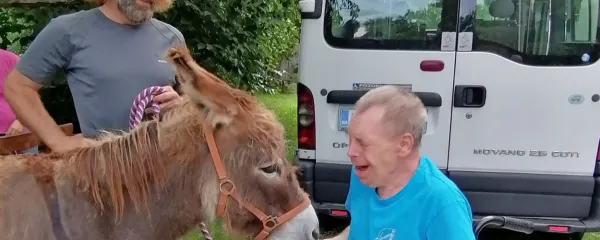 Milivoja (desno) družba osla Fernanda (ob Radu Brelihu) zelo 
veseli.