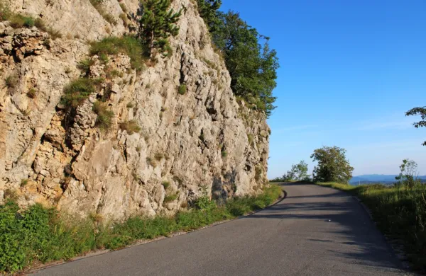 Krušenje  skal in padajoče kamenje  na cesti iz Podnanosa na Nanos 
sta stalnica, občina zdaj išče rešitev za ustavitev skalnega podora 
pod vrhom pobočja.