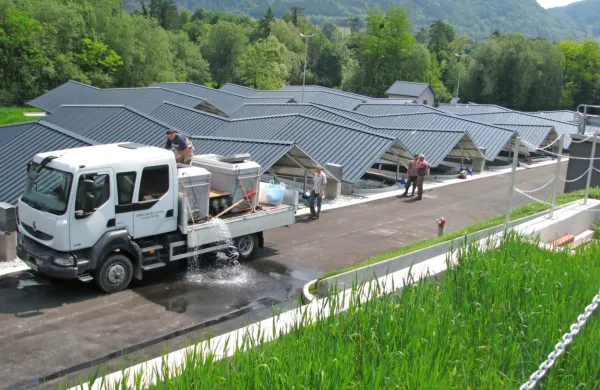 Ribogojnica bo prispevala 15 ton filetov šarenke za  pašteto argeta iz soške postrvi. 