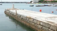 Pomol, ki ga uporablja Fakulteta za pomorstvo in promet, naj bi bil 
popravljen do sredine avgusta.   
