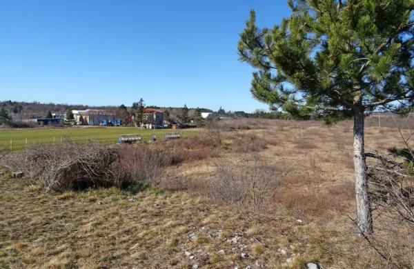 Od prejšnje srede do prihodnje, 5. avgusta, je v javni obravnavi  
Občinski podrobni prostorski načrt za Krvavi potok, s katerim želi 
investitor umestiti v prostor  sončno elektrarno.