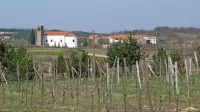 Delovna skupina si bo prizadevala za razvoj podeželja,  kmetijstva, 
lokalno pridelano in predvsem zdravo prehrano.