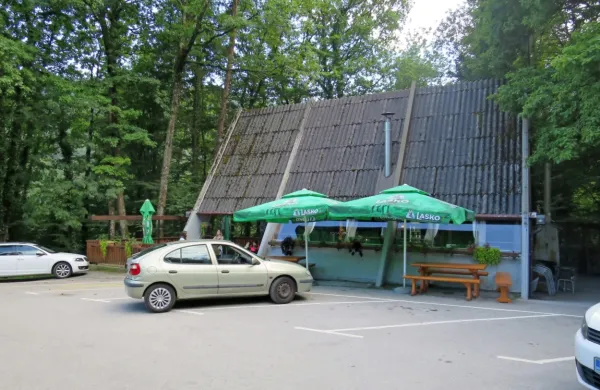 Kaj je vodilo svetnike SD, SDS, SLS in LSM v brezglavi nakup 
nefunkcionalnega objekta pod PB Franja brez načrta in denarja za 
obnovo, tudi po ponedeljkovi razpravi ostaja velika neznanka.