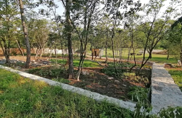 Na koncu Mirna, kjer je bila včasih karavla, naj bi v prihodnjih letih 
zgradili  stanovanjsko hišo,  stavbo za terapije,  pet bungalovov z 
okrepčevalnico in  recepcijo ter  stavbo za delavnice, jogo in 
meditacije.   