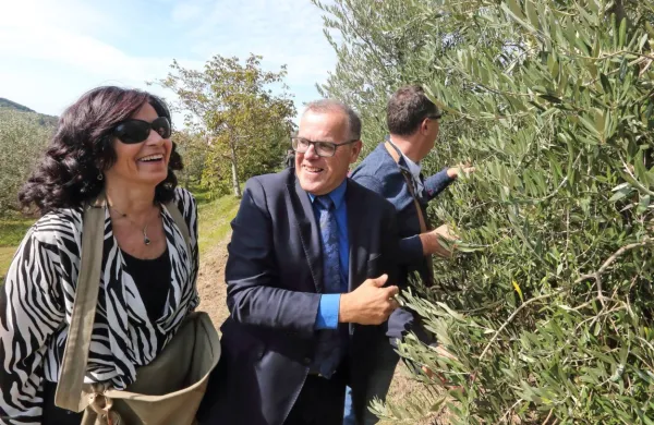 Danilo Markočič s soprogo Viljanko Vesel v zdaj že nekdanjem oljčniku. V njem raste tudi  znamenita županova oljka, ki so jo vsako leto  
obirali  istrski župani, (njim naklonjeni)  ministri,   državni sekretarji in drugi pomembneži.      