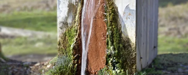 Iz Slatinskega vrelca Nuskova v občini Rogašovci izvira najboljša 
mineralna voda na Slovenskem. Vodo, polno železovega oksida, si 
lahko natočite kar sami. 