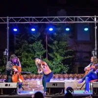 Wild Strings Trio