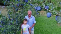 Franc Jelušič iz Slop izkušnje gojenja češp in njihove predelave 
prenaša tudi na  mlajše generacije in na vnuka Tilna. Z letino v 
nasadu mladih češp, odpornih na šarko, sta zelo zadovoljna. 
