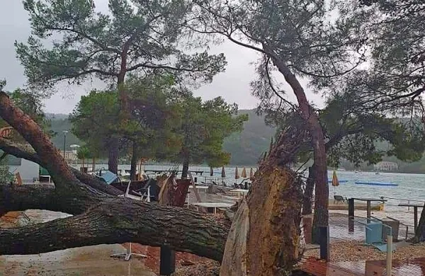 V neurju izruvano drevo na kopališču Krka v Strunjanu