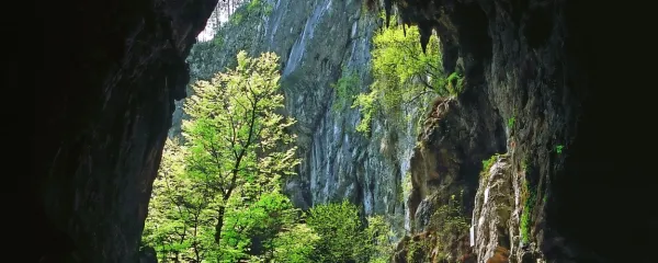 Škocjanske jame z okolico so preplet treh naravnih in kulturnih 
vrednot svetovnega pomena.