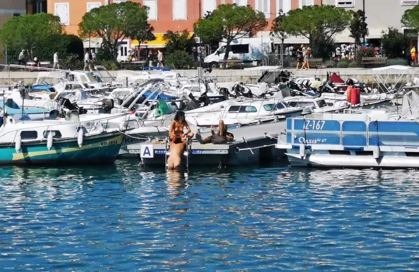 Fotografija, ki je nastala prejšnji teden sredi Izole in takoj zaokrožila po facebooku.