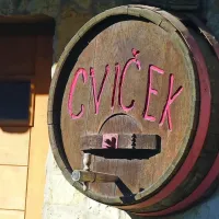 Tudi Bela krajina je dežela cvička.