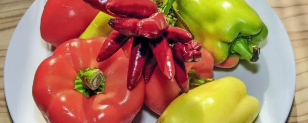 Paprik je veliko vrst, ločimo jih tako po barvi, od bele do rdeče, 
rumene in zelene, kakor tudi po velikost in obliki, pa tudi na 
zelenjavno, pekočo začimbno in paradižnikovo papriko.