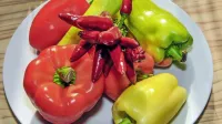 Paprik je veliko vrst, ločimo jih tako po barvi, od bele do rdeče, 
rumene in zelene, kakor tudi po velikost in obliki, pa tudi na 
zelenjavno, pekočo začimbno in paradižnikovo papriko.