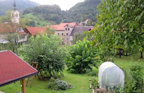 Travnik v solasti občine in KS Cerkno, na katerem naj bi zgradili stanovanjski blok, leži v središču 
Cerknega.