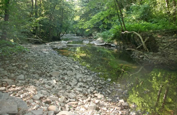 Vodni vir Padež bi država rada z zajezitvijo okoliških dolin  uredila 
za dodatno oskrbo Istre. V Brkinih temu precej nasprotujejo. 