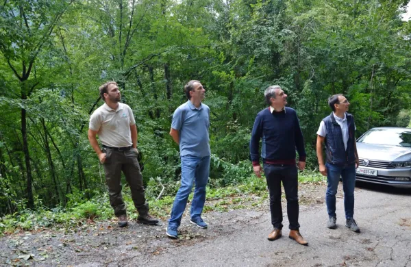 Državni sekretar Damjan Stanonik (drugi z desne) si je s predstavniki tolminske OE Zavoda za  gozdove ogledal škodo v 
gozdovih in na gozdnih cestah. 