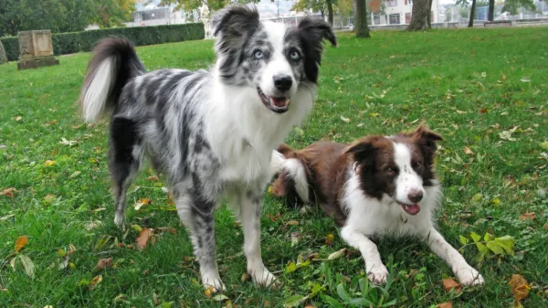 Fotografija je simbolična.