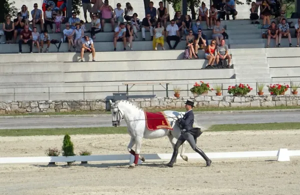 Ob glasbi Policijskega orkestra so na hipodromu predstavili znanje konj, jahačev in trenerjev, ki jih vodi Ladislav Fabris. Gala 
predstavo si je zaradi ukrepov proti širjenju koronavirusa lahko ogledalo le 500 oseb. 