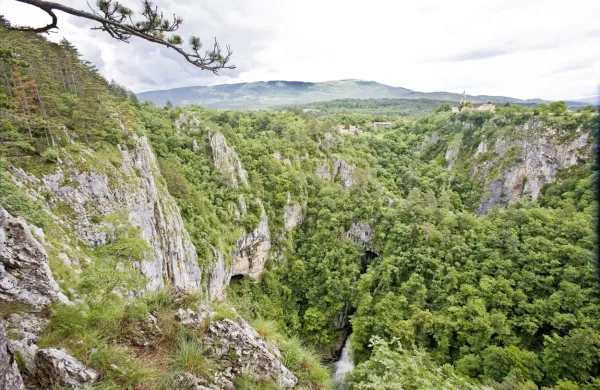 Skupaj bodo upravljali Matični kras