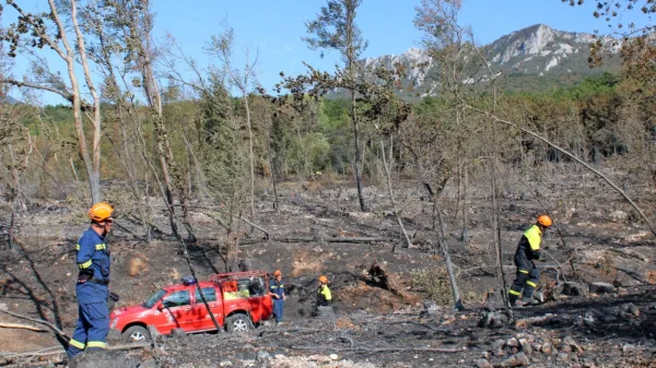 Požarna straža bo na požarišču vse do prvih močnejših padavin.   