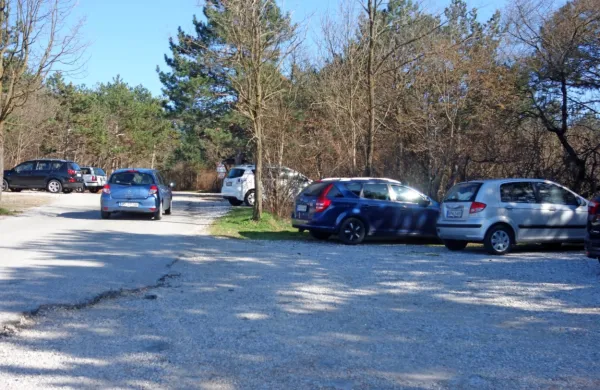  Z občinskim odlokom nameravajo  poskrbeti, da bodo ljudje 
parkirali le na urejenih parkiriščih. 