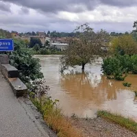 Zalošče pri Dornberku