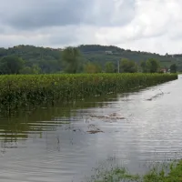 Prvačina