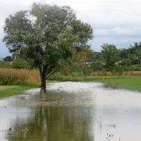 Prvačina