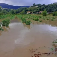 Zalošče