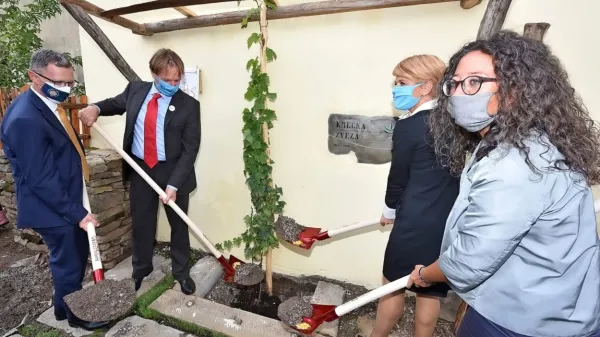Na latniku  Doma prosekarja bo ob domači gleri rasla tudi sadika, vzgojena iz  najstarejše trte na svetu na mariborskem Lentu. 