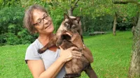 Prof. dr. Nataša Tozon, predstojnica Klinike za male živali na 
Veterinarski fakulteti  v Ljubljani

